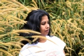 Shashi Kanth - Lost in tall grass