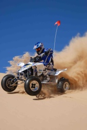 No One Famous - Got Roost?