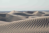 No One Famous - Just Dunes