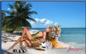 Image Designers - Girl And Kitty