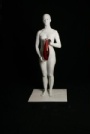 Enlightened Photographer - Pictures are in color - red vase