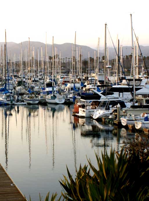 Chris - Harbour setting