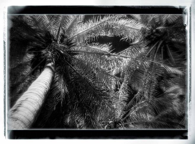 Jean-François Dupuis - Photography