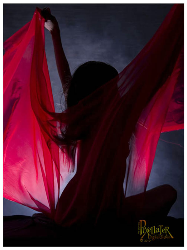 Pixellater - Silhouette in Red