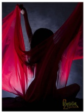 Pixellater - Silhouette in Red