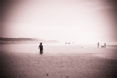 Used Ambition - Walk