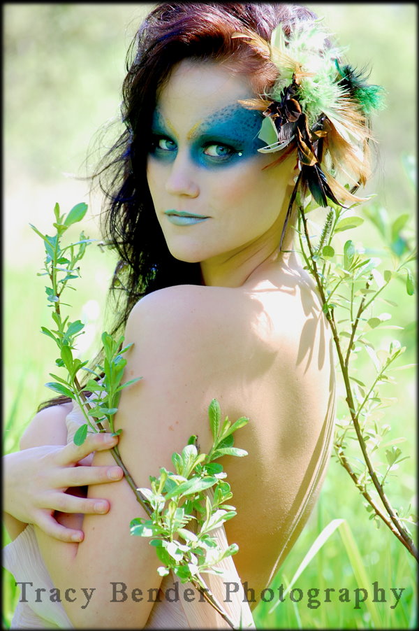 Tracy Bender Photography