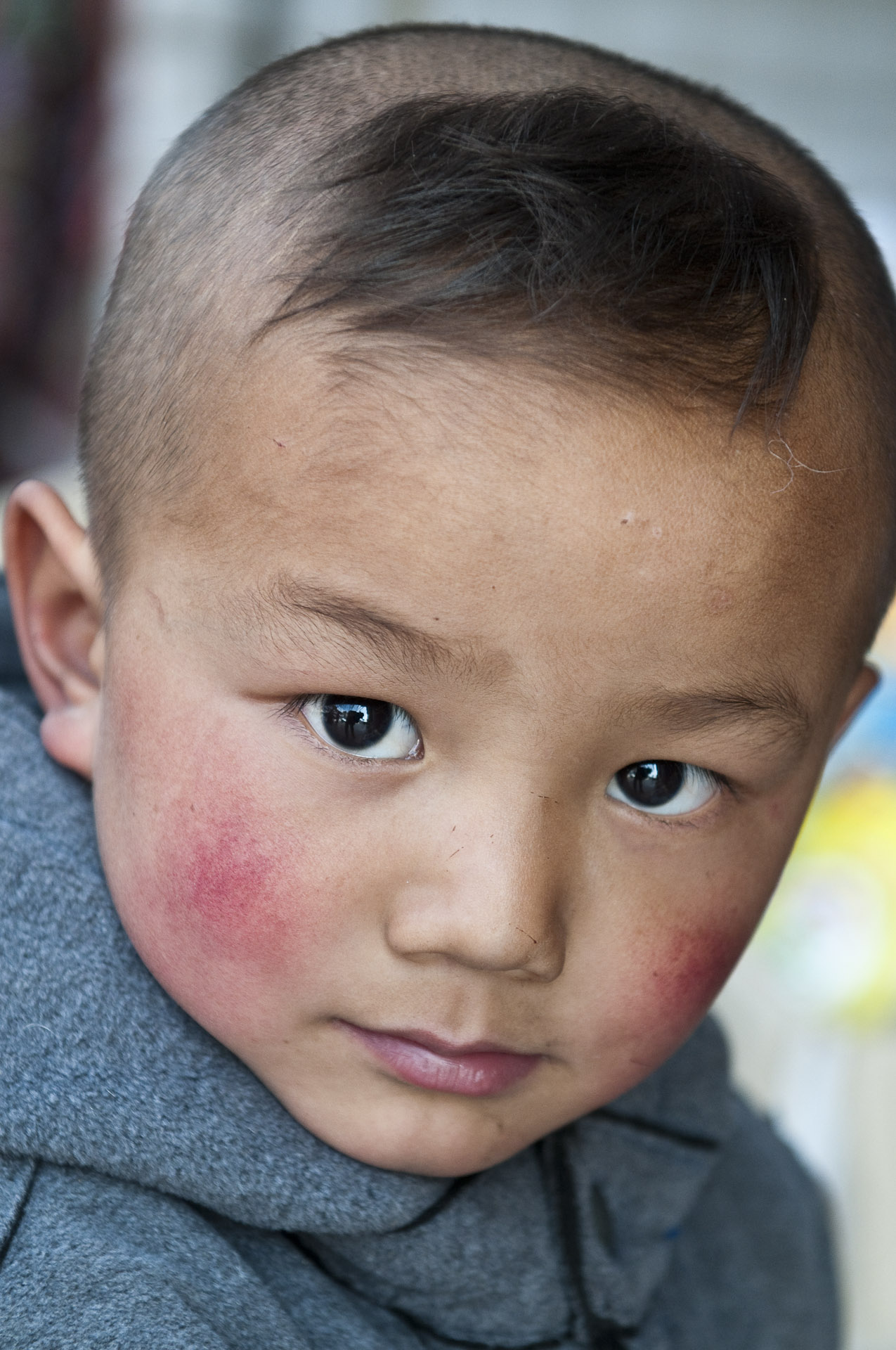 Ding Zhou - QingHai Boy