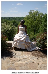 Angel Morton Photography