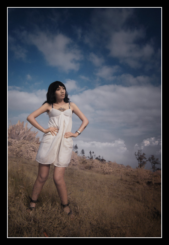 danang bimo - ines