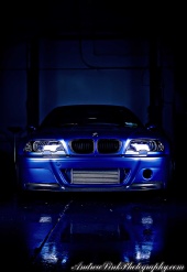 Andrew Link Photography