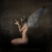 VonFrankenstein Imagery