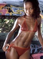 Queen Lioness - Hot in Miami - NY Style!