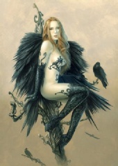 Jessica - Black Wings