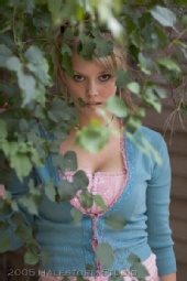 Stacey Douglass