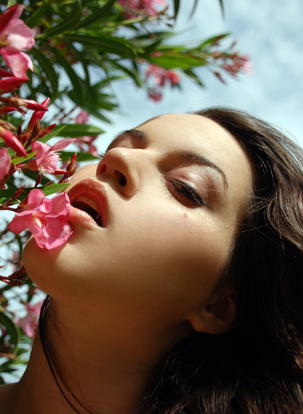 Alex - Kiss of Spring