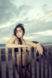 Brittany Bird