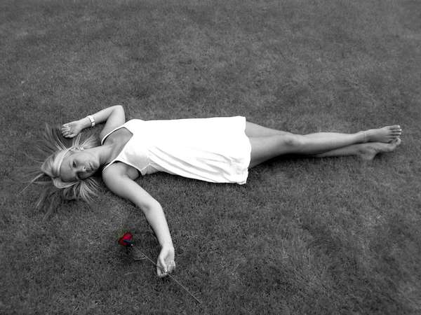Sam - The rose!