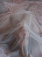 Misty McAnally
