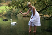 kirsty269 - Swan