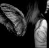 Esme Solorio - Fairy 