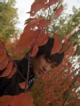 Robert - With Nature