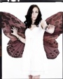 L - Trapped Butterfly