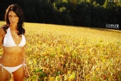 Lindsey Phillips - September Fields