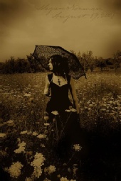 crooked-angel - Sunset Photograph