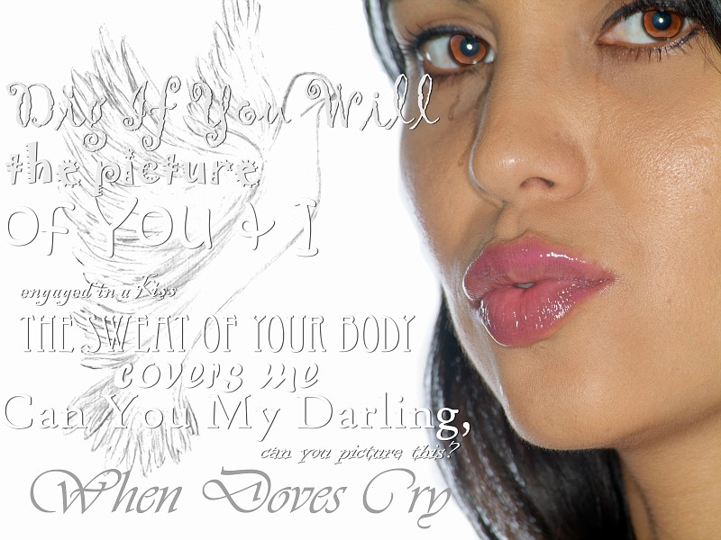 Kimberly Dawn