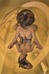 BRITTANY ASHTON - NAHA Hair piece entry #2