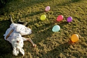 M - That's the way - Swedish Fashion Easter 