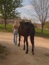 Eryn - Walk