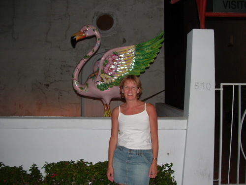 Shelly Hall - Hi