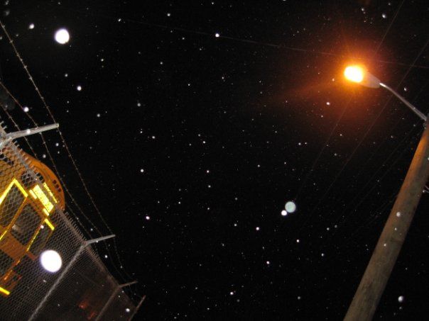 CraftyLassie - Let it snow