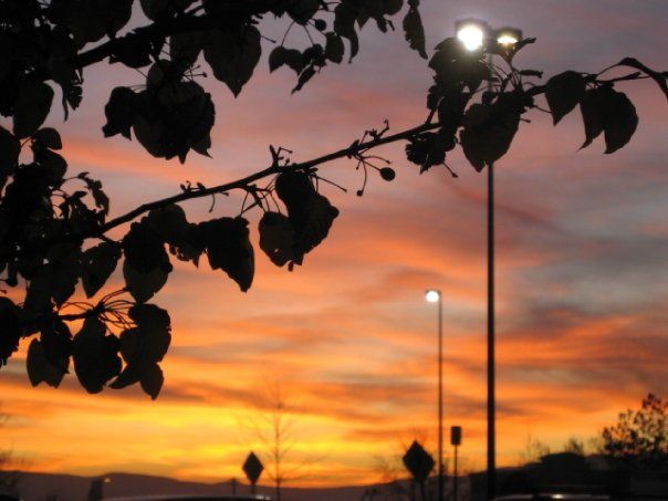 CraftyLassie - Rainbow