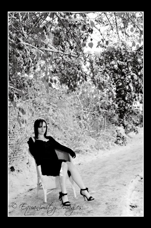 Char - Lion, the witch and the wardrobe theme