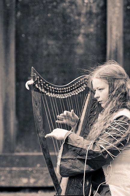 Night Phoenix - The Celt and the Clarsach
