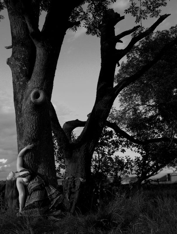 Night Phoenix - Tree Dance