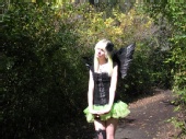 Kylin - Forest Angel