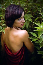 Hollowienna - Nature's Secrets