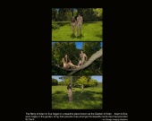 ChicagoImagingSolutions