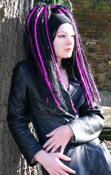 Ultra Violet Ragdoll - Next To A Tree