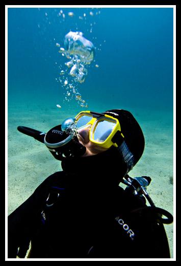 DiveMaiden - Bubles