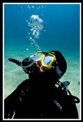 DiveMaiden - Bubles