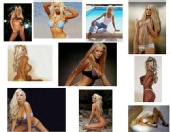 EMMA B - Comp/model card