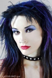 kittykat