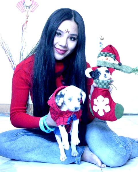 Saya - my pet 