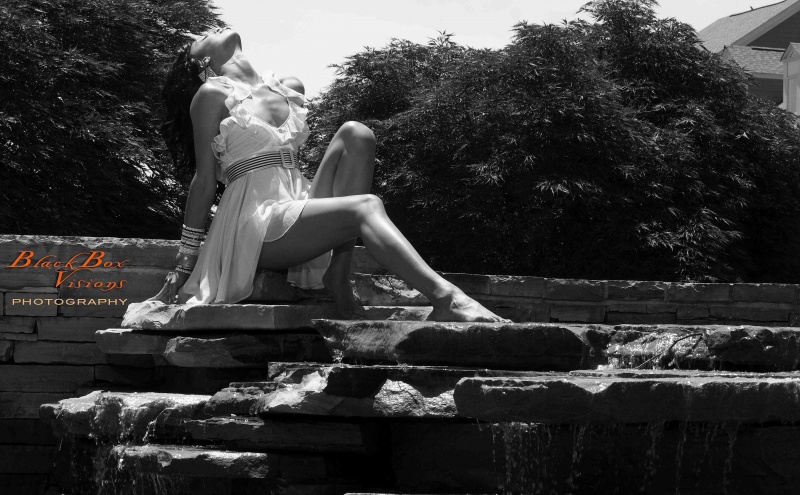 BlackBox Visions Photos