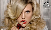The Beauty Artist